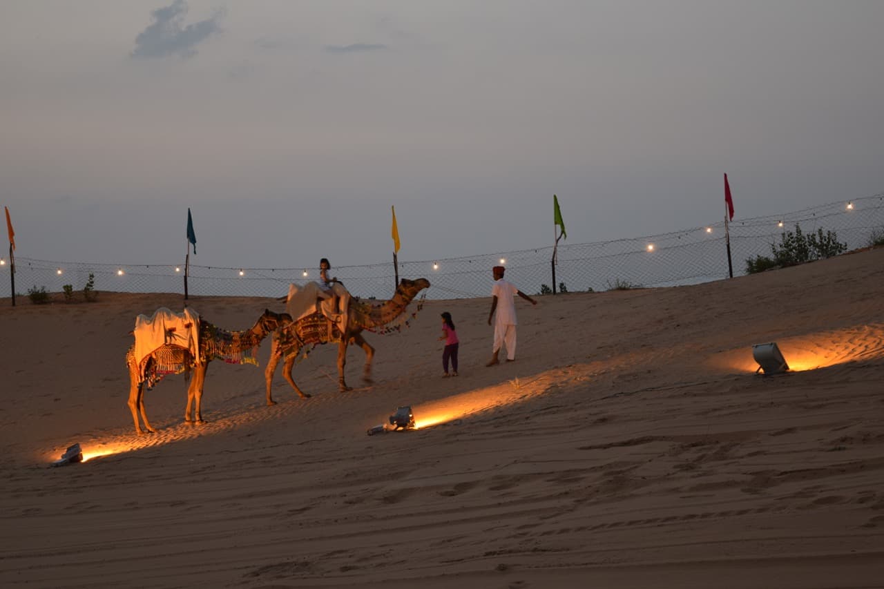 camel safari thar